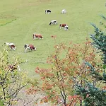 Farmház Bauernhof Bachgut