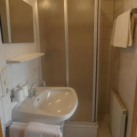 Bauernhof Bachgut Mühlbach am Hochkönig