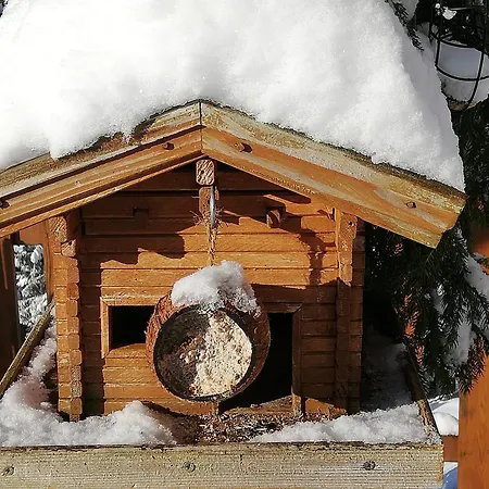 Bauernhof Bachgut Feriegård